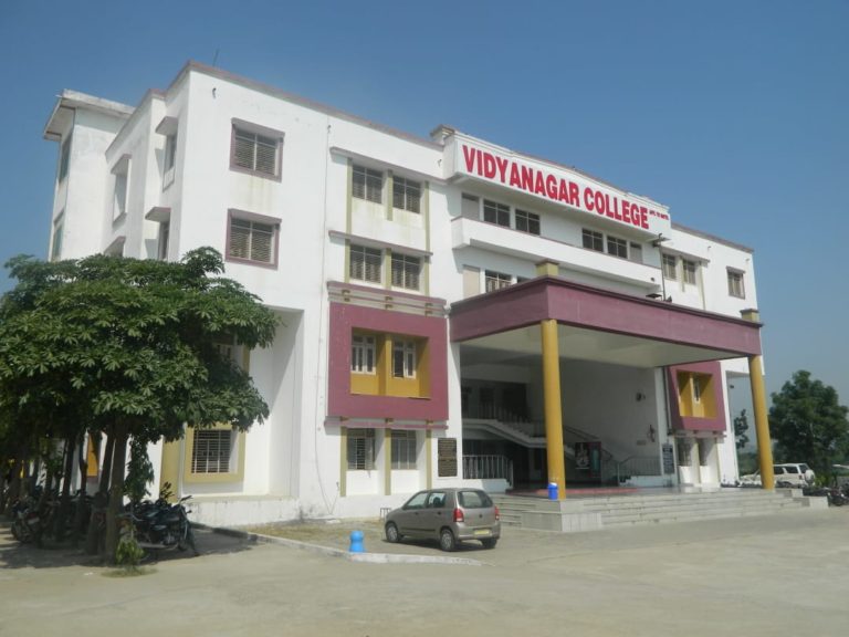 flower kids college(Vidyanagar College) Panchwati Sagwara, Dist